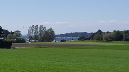 Oppkjøring